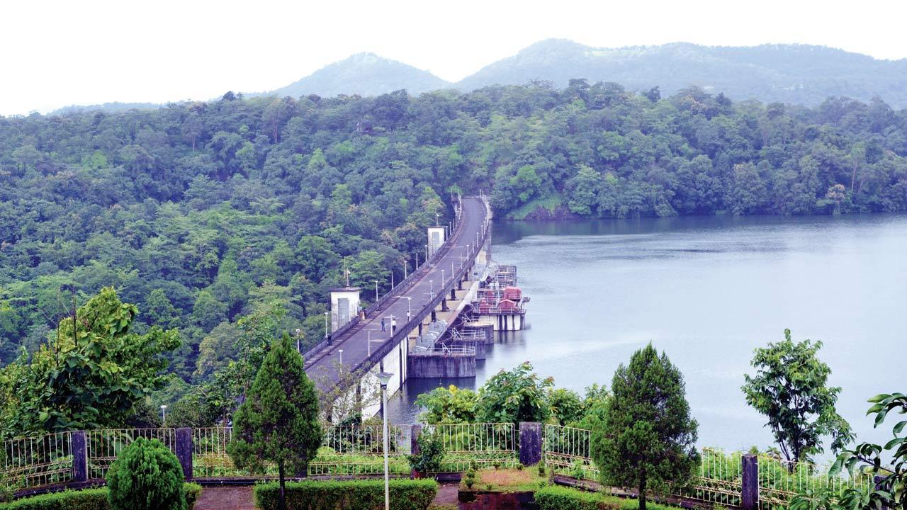 Mumbai: Major lakes need days of downpour to replenish