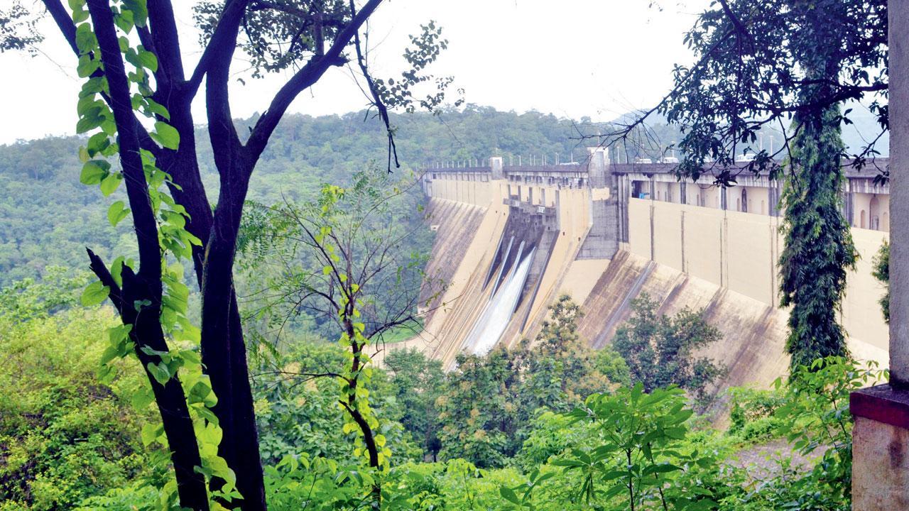 Mumbai: Fast-filling lakes force BMC to rethink water-cut plan