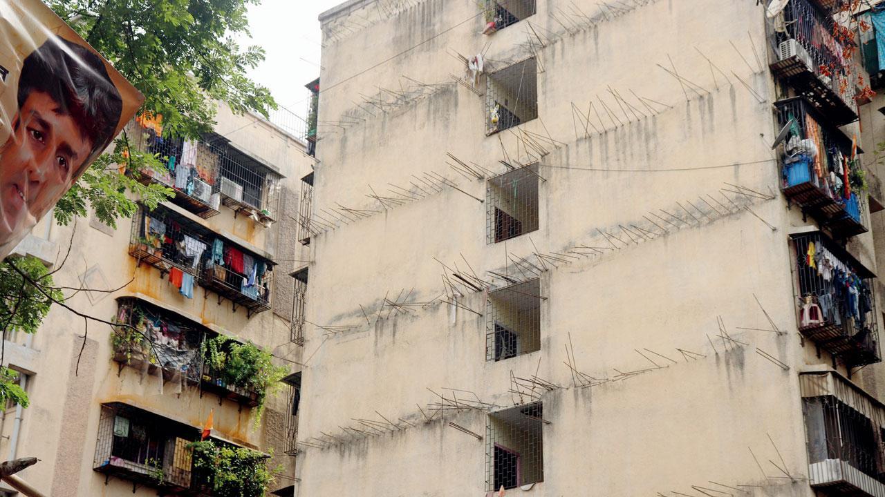 MIDC cracks whip against squatters in Andheri buildings