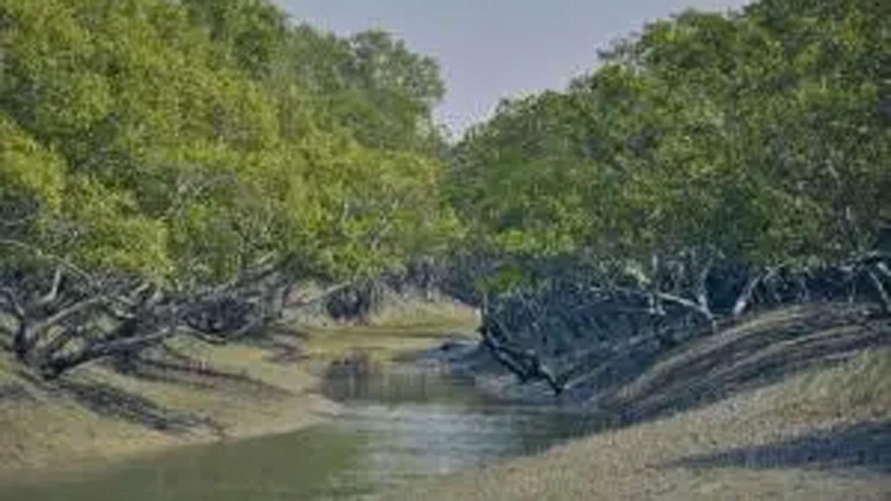 Mumbai: Gorai, Manori to have its own sewer lines soon
