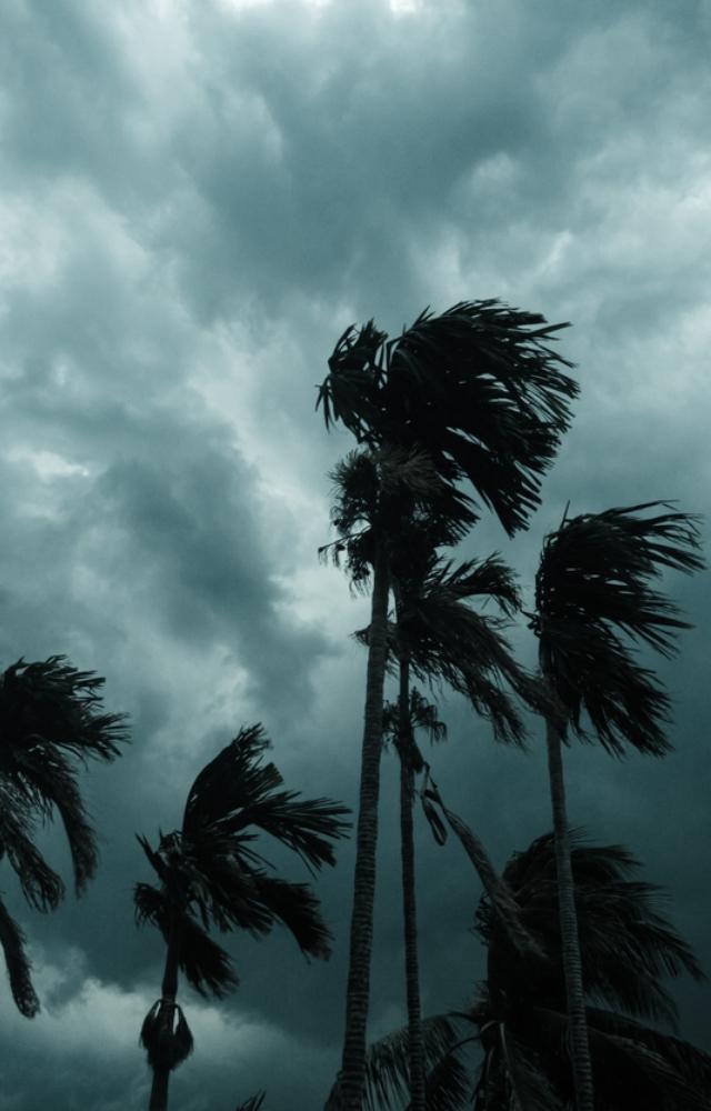 Meteorologists earlier said Cyclone `Biparjoy` had been impacting the intensity of the monsoon and that its onset over Kerala would be 'mild'