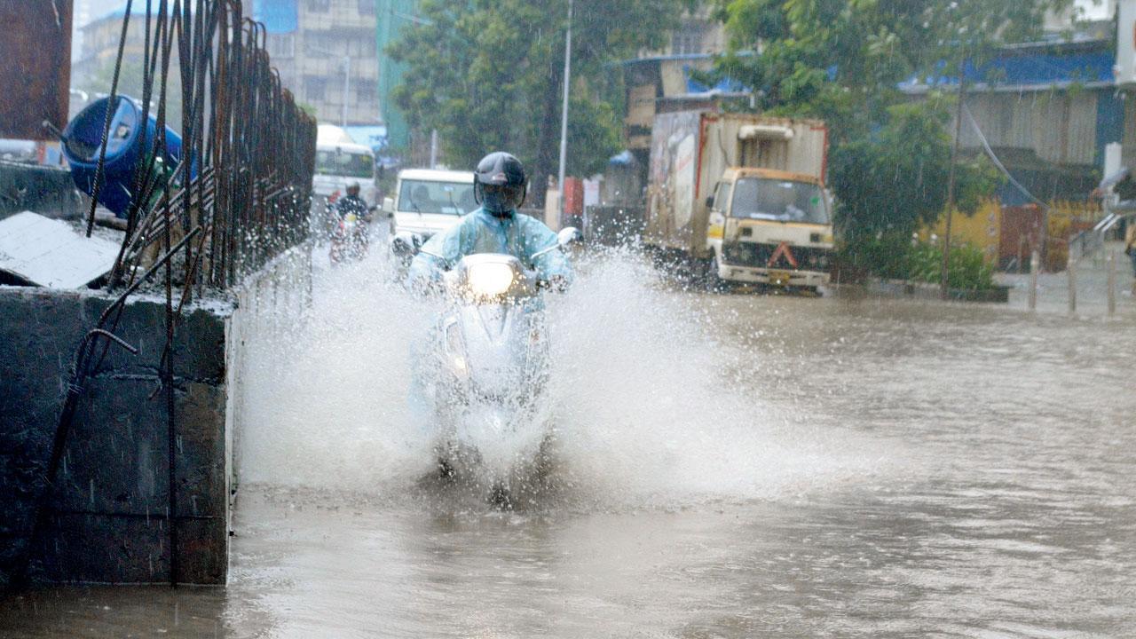Tackled flooding issue at vital spots, says BMC