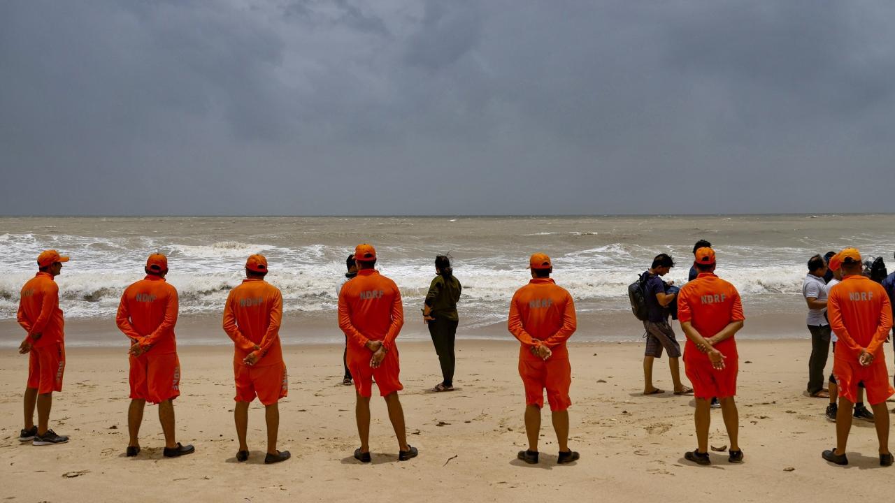 Cyclone Biparjoy landfall: Trees, electricity poles uprooted along Gujarat coast