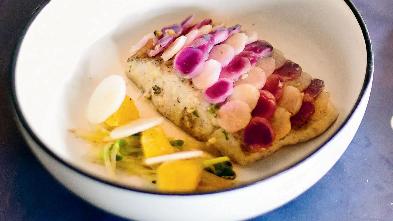 Sea Bass