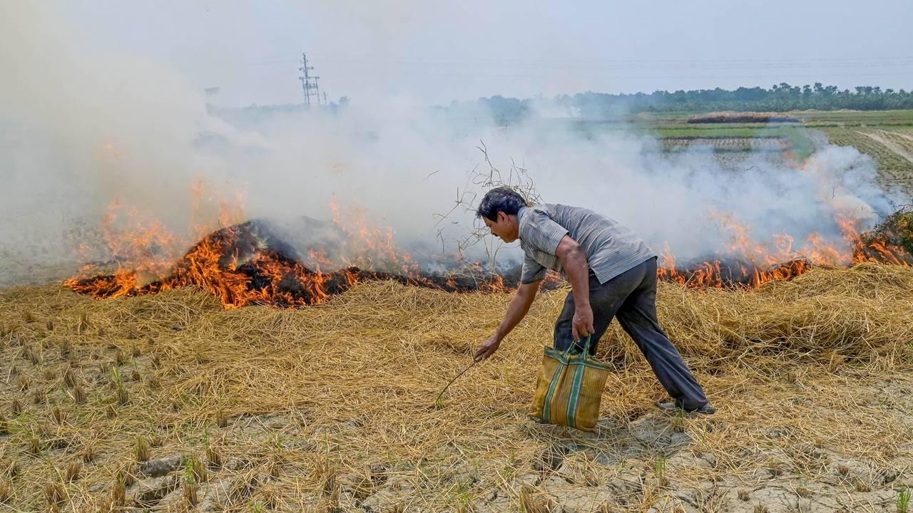  A farmer burns crop stubble in a field, on World Environment Day, in Nadia district, Monday, June 5, 2023. Pic/PTI