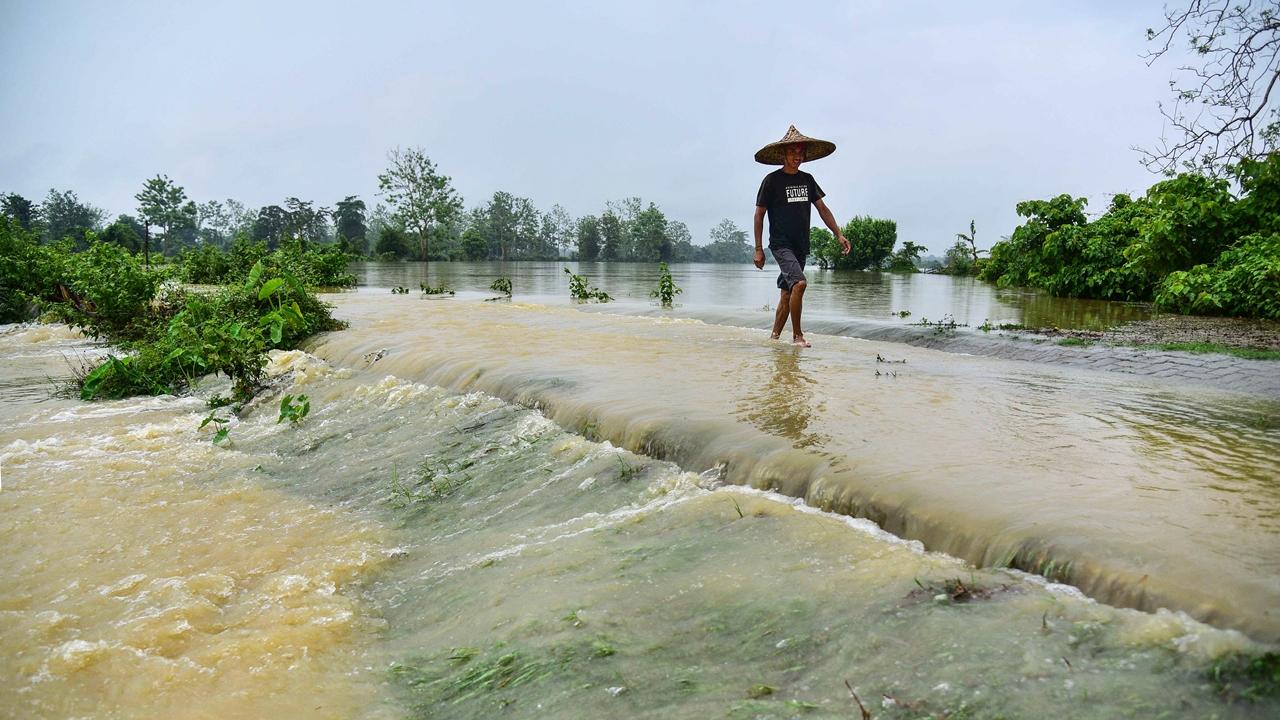 The administration has been operating one relief camp, where nine people are currently staying, besides 16 relief distribution centres in three districts.At present, 142 villages are under water and 1,510.98 hectares of crop areas have been damaged across Assam, the ASDMA said.
Massive erosions have been witnessed in Biswanath, Bongaigaon, Dibrugarh, Kokrajhar, Lakhimpur, Majuli, Morigaon, Nagaon, Sivasagar, Sonitpur, South Salmara and Udalguri districts, it said.