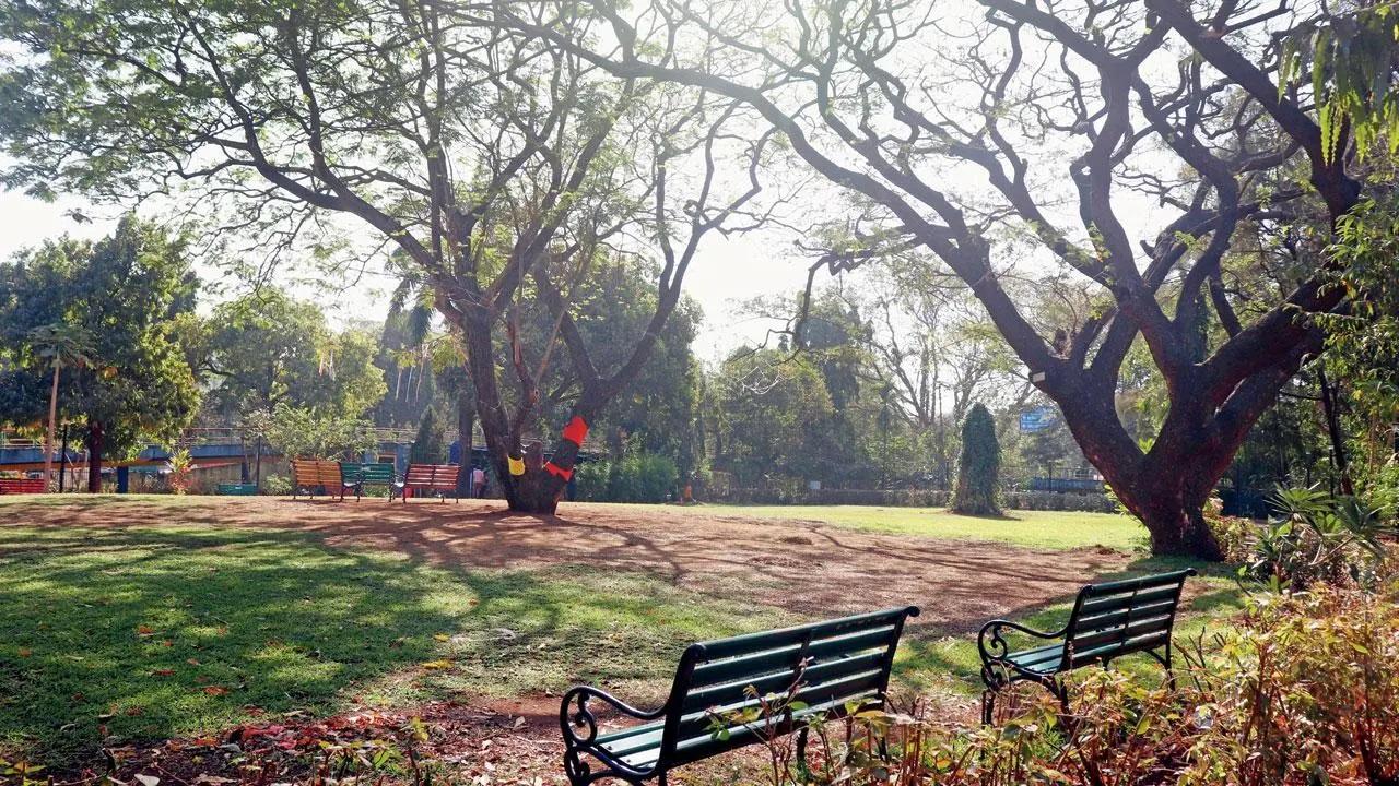 Abraham says after Pushpa Narsee Park was taken over by the BMC recently to construct an underground parking lot, the rules for the once forward-thinking park have become strict with no walking on grass, hence no picnic, no games, no farmers market, and the timings have reduced too. Photo Courtesy: Anurag Ahire