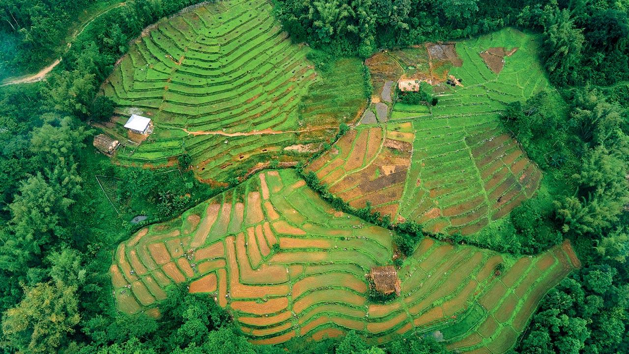 An aerial shot of terrace farms during the monsoons in Siang, Arunachal Pradesh. Rain that’s less than a drizzle is called sipsipia boroxun by the Ahomya