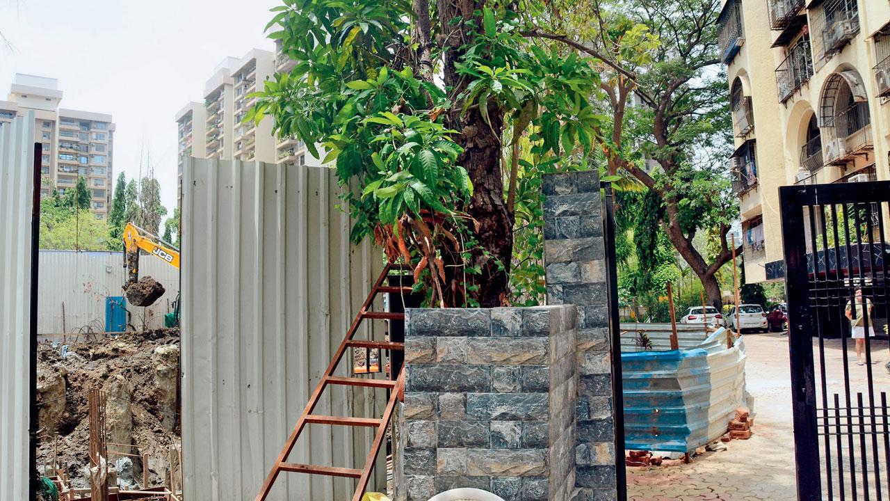 The builder working on the redevelopment next to the society has said he will get the compound wall and security guards’ cabin at Mota Mansion CHS repaired. Pics/Sayyed Sameer Abedi