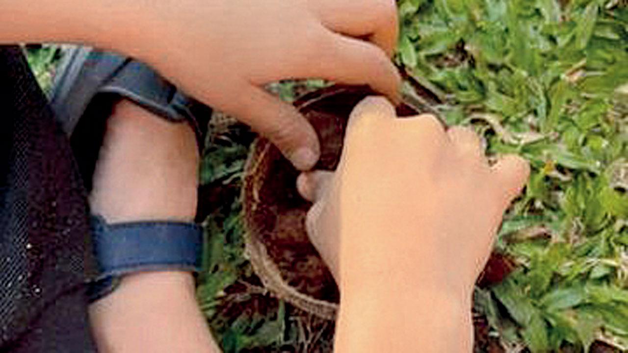 Lalwani planting a sapling in a coconut shell. Pic courtesy/Instagram