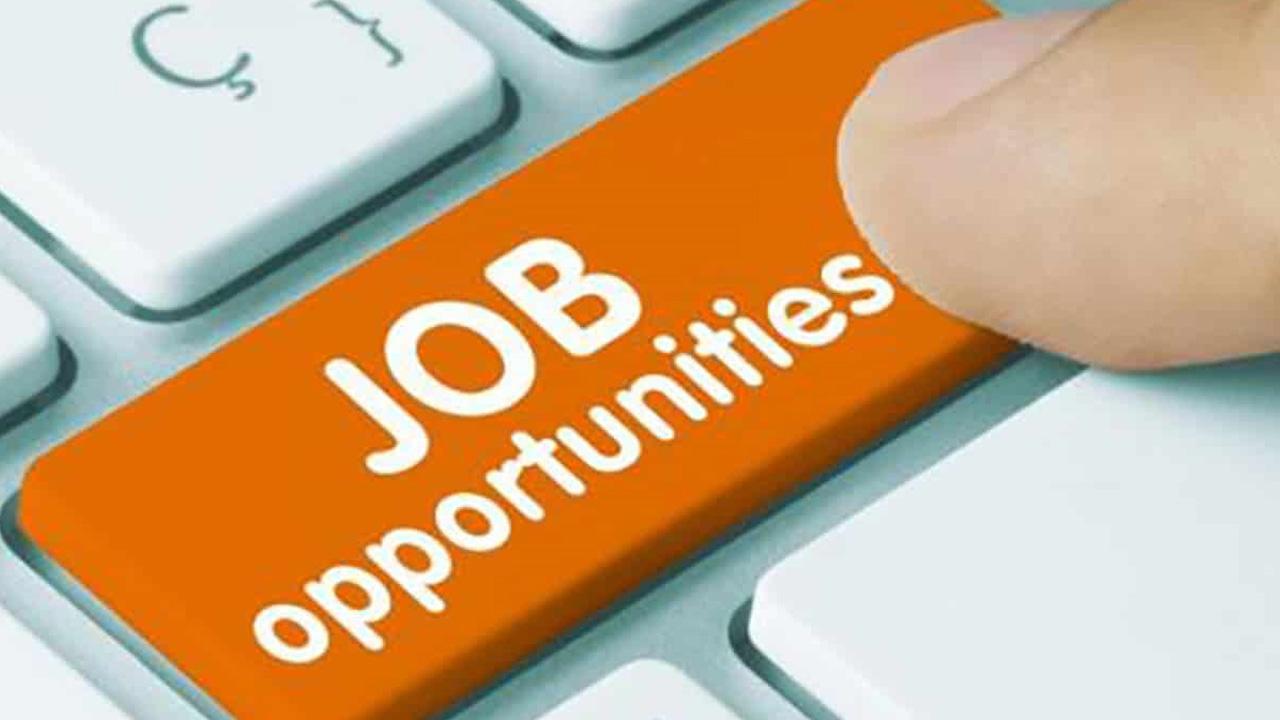 Unlocking the Power of Sarkari Alert: Your Ultimate Guide to Sarkari Naukri Result and RTO Information