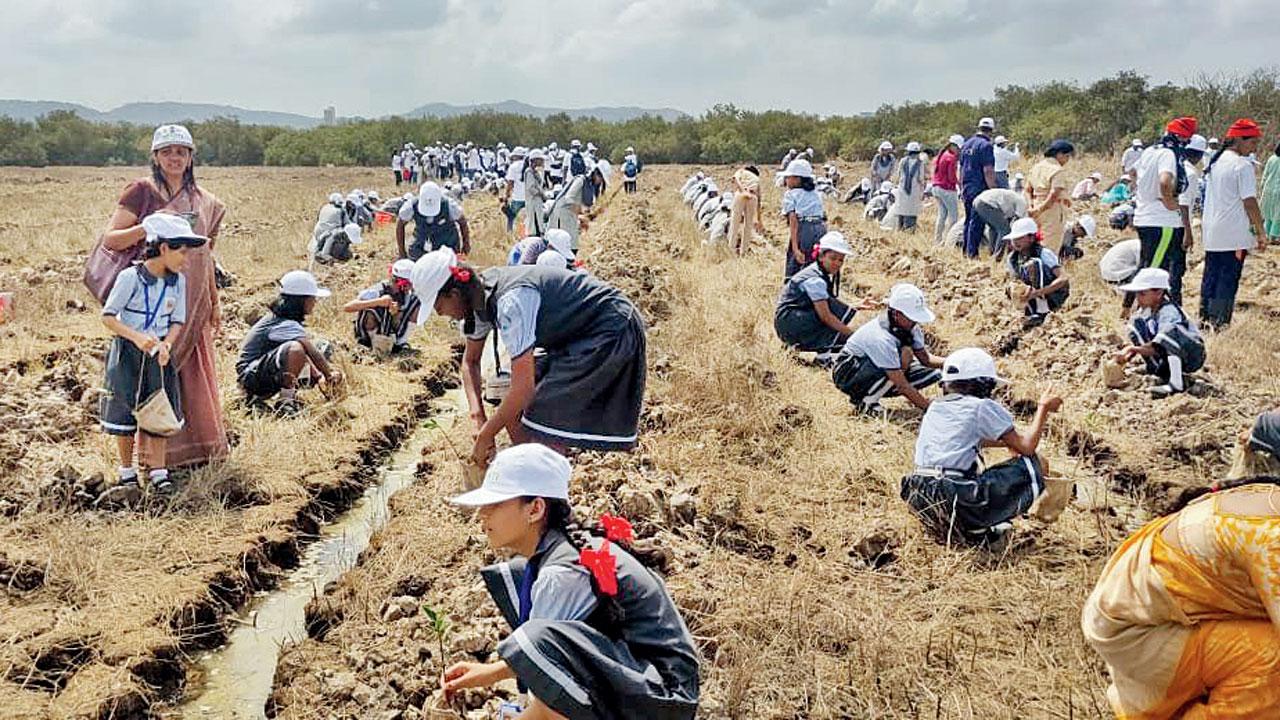 School students planting the saplings