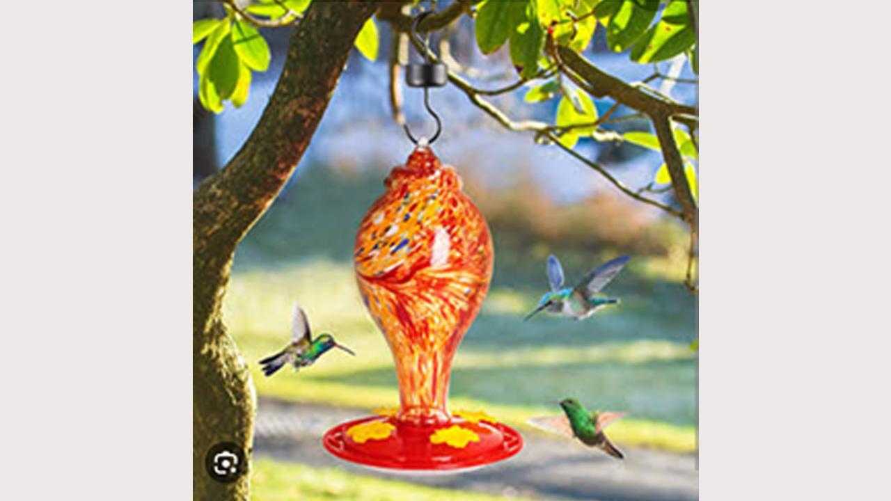 Dna Helix Bird Feeder Review 2023 (Must Read) Read This Sherem