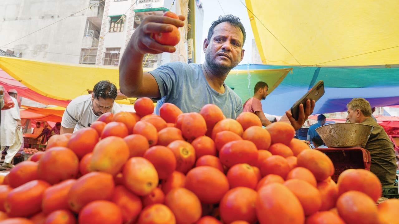 Congress blames PM Modi's 'wrong policies' for rising tomato prices