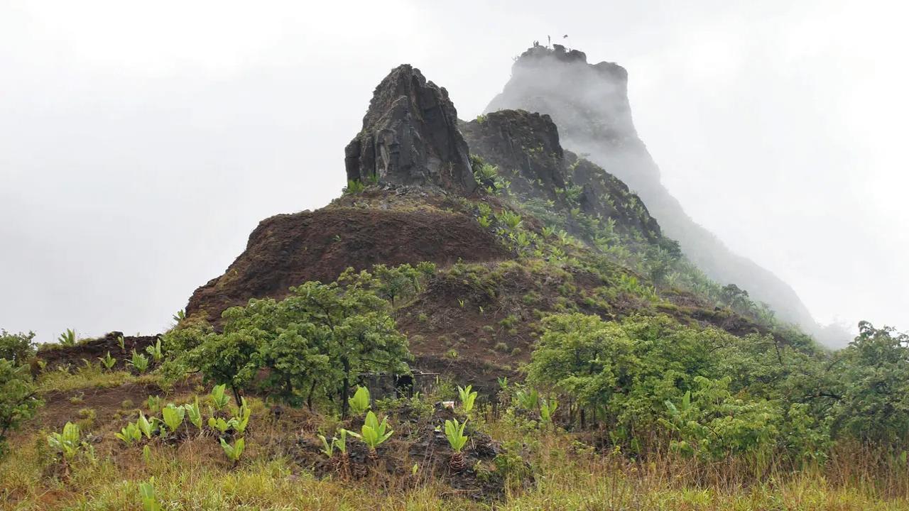 The Tung fort is also known as Kathingad, owing to the steep access to the fort (Kathin: difficult in Marathi and Hindi). It is a popular trekking destination near Lonavala for a trek in the Sahyadris that is moderate level. The conical peak is a distinct feature and the fort can be recognised easily from a distance. The starting point is the Tungwali village. There are multiple routes to reach the fort. The most common one is a well-defined trail that starts near the village and leads you uphill