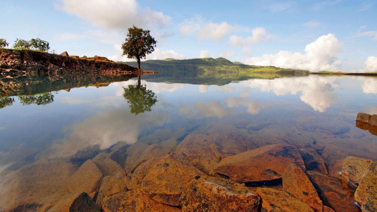 Mumbai's reserved water quota averts severe water crisis for now