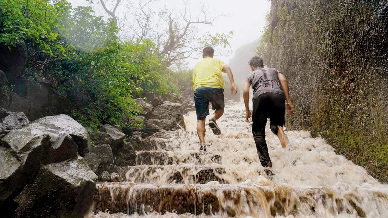 Pic courtesy/Treks and Trails