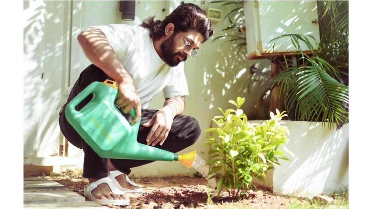 World Environment Day: Allu Arjun posts a photo watering a plant, says 'Let’s all of us do our small bit'