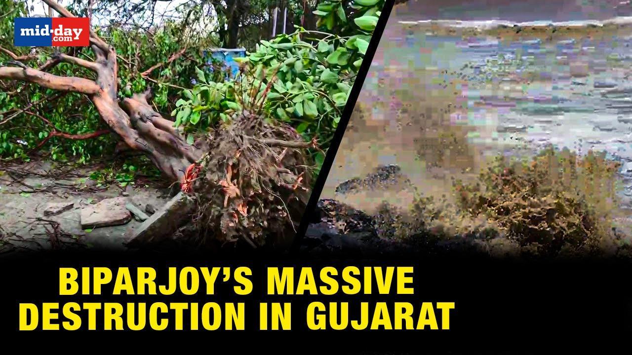 Cyclone Biparjoy wreaks havoc in Gujarat, damages vehicles and houses