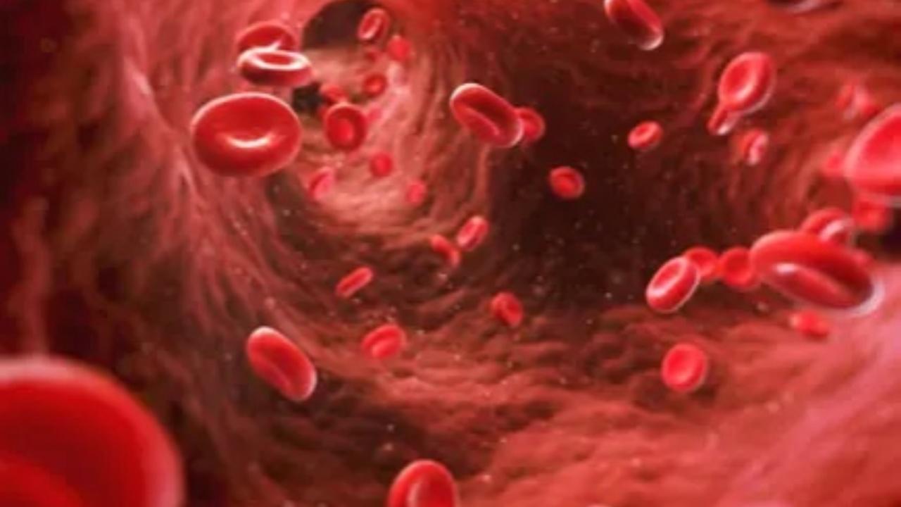Expert explains what is blood cancer and how to identify its early signs