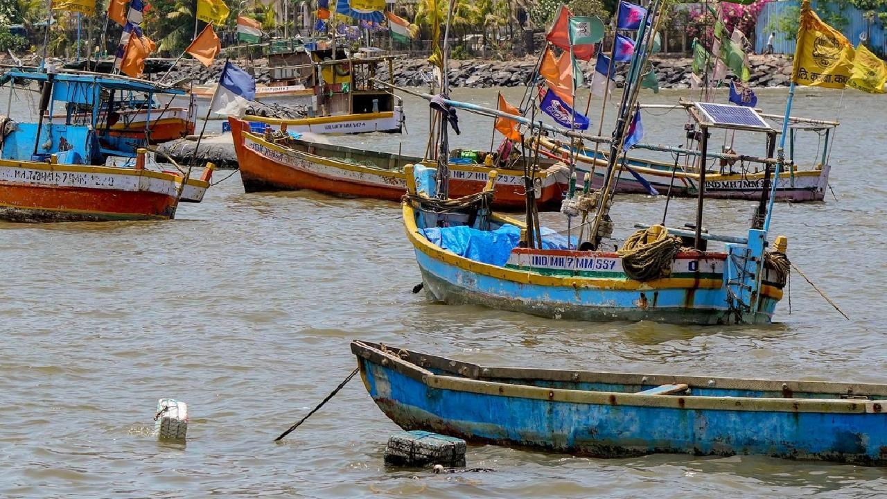 IN PHOTOS: Boats seen anchored in Mumbai ahead of Cyclone 'Biparjoy'