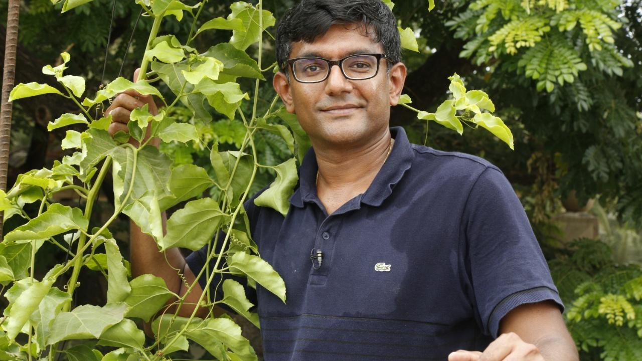 World Environment Day 2023: Mumbai resident transforms home into nature retreat
