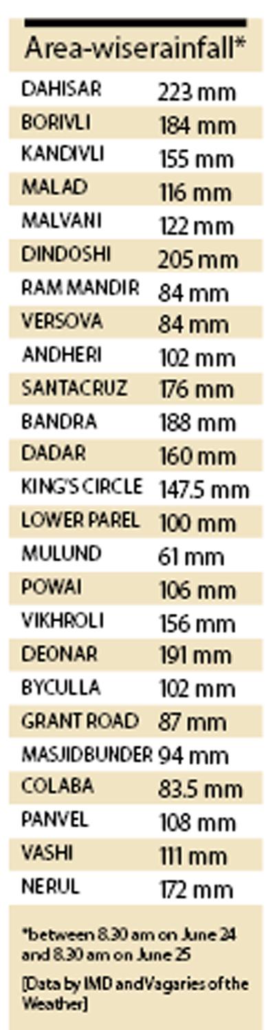 Area-wise rainfall
