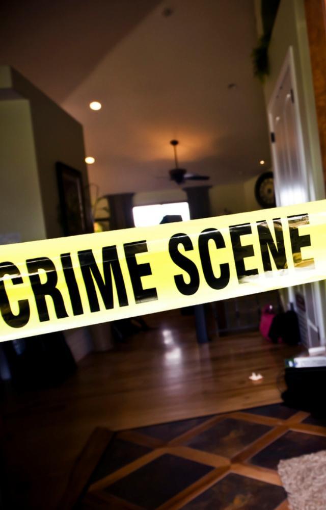Man kills live-in partner, chops body