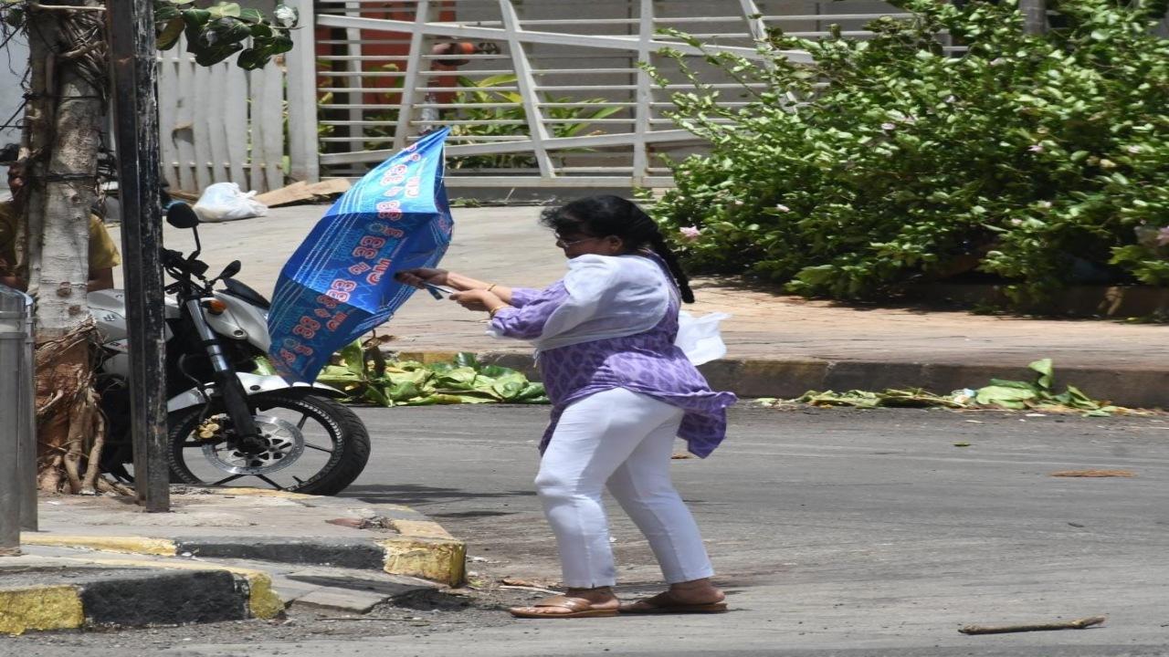 Wind speed of 125-135 kmph gusting to 150 kmph: Preparedness reviewed for Cyclone 'Biparjoy'