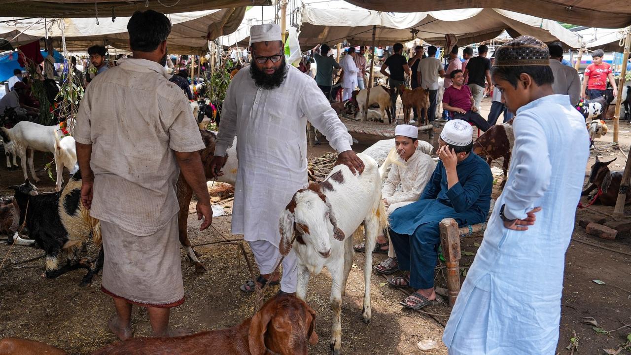 Goat sellers wait for customers ahead of the 'Eid-al-Adha' festival near Jama Masjid in New Delhi. Pics/PTI
