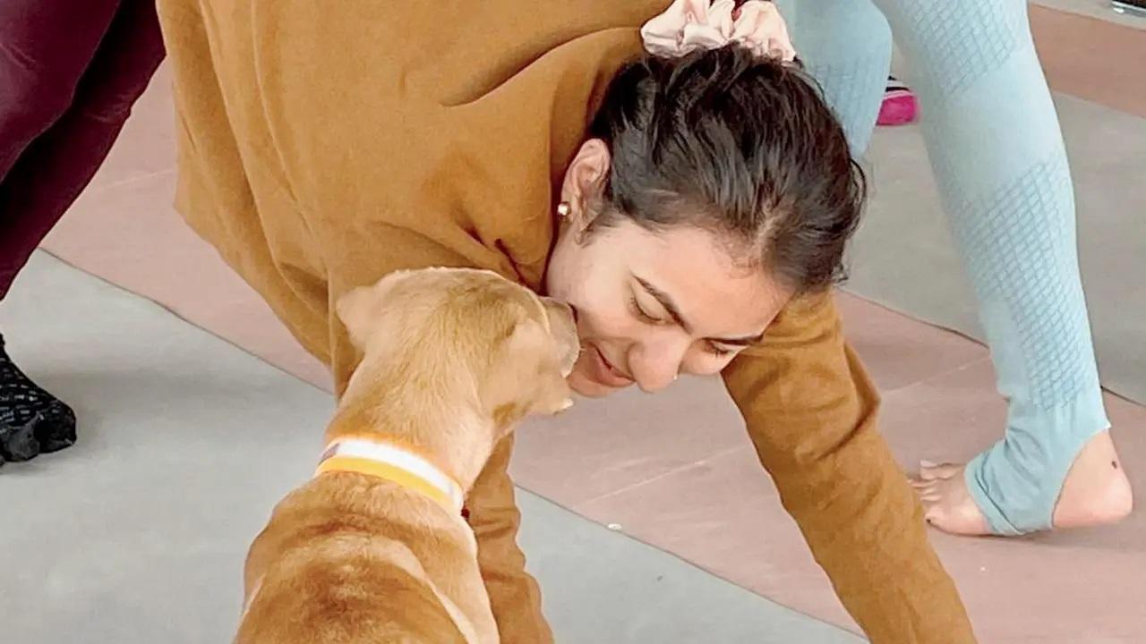 Exercise and playWorkshop:  Pawasana will be hosting a Yoga for a Cause workshop to help puppies find their forever homes while you clock in a workout.TIME 9 am at B YOU Dance Academy, Andheri West. LOG ON TO @pawasana_ COST RS 999 (one seat), RS 1,799 (two seats)