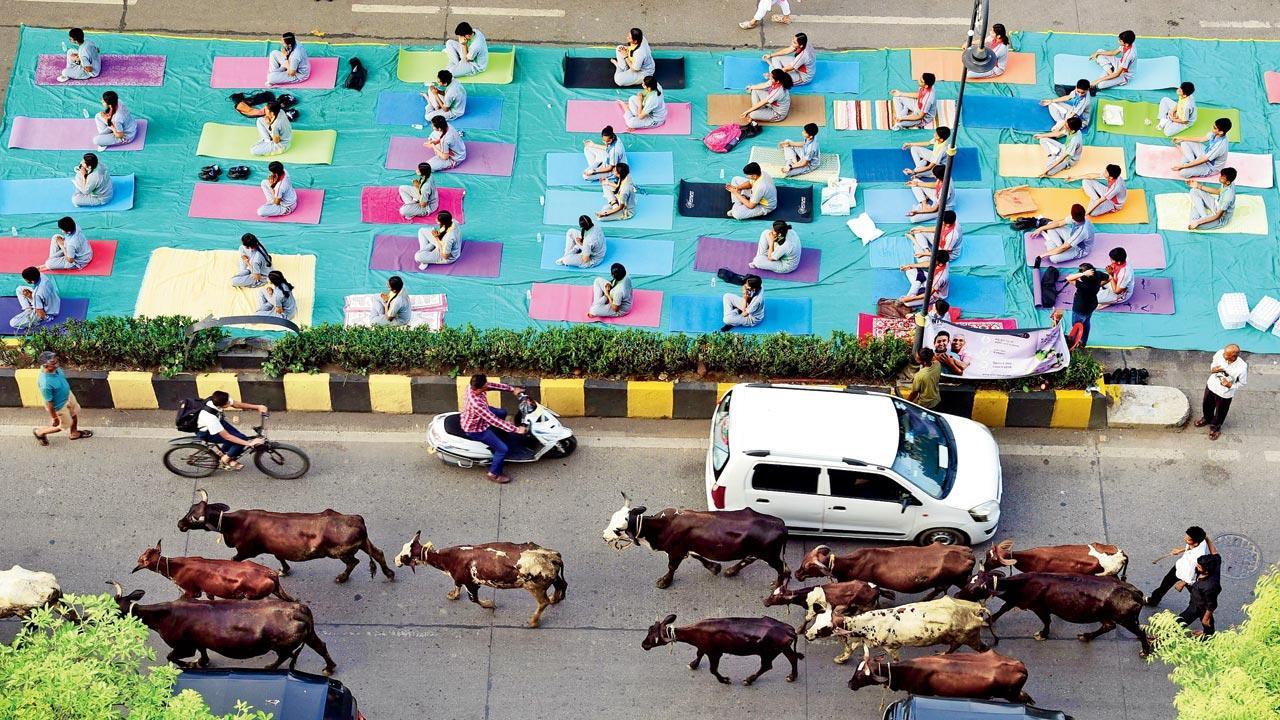 Mumbai Diary: Thursday Dossier