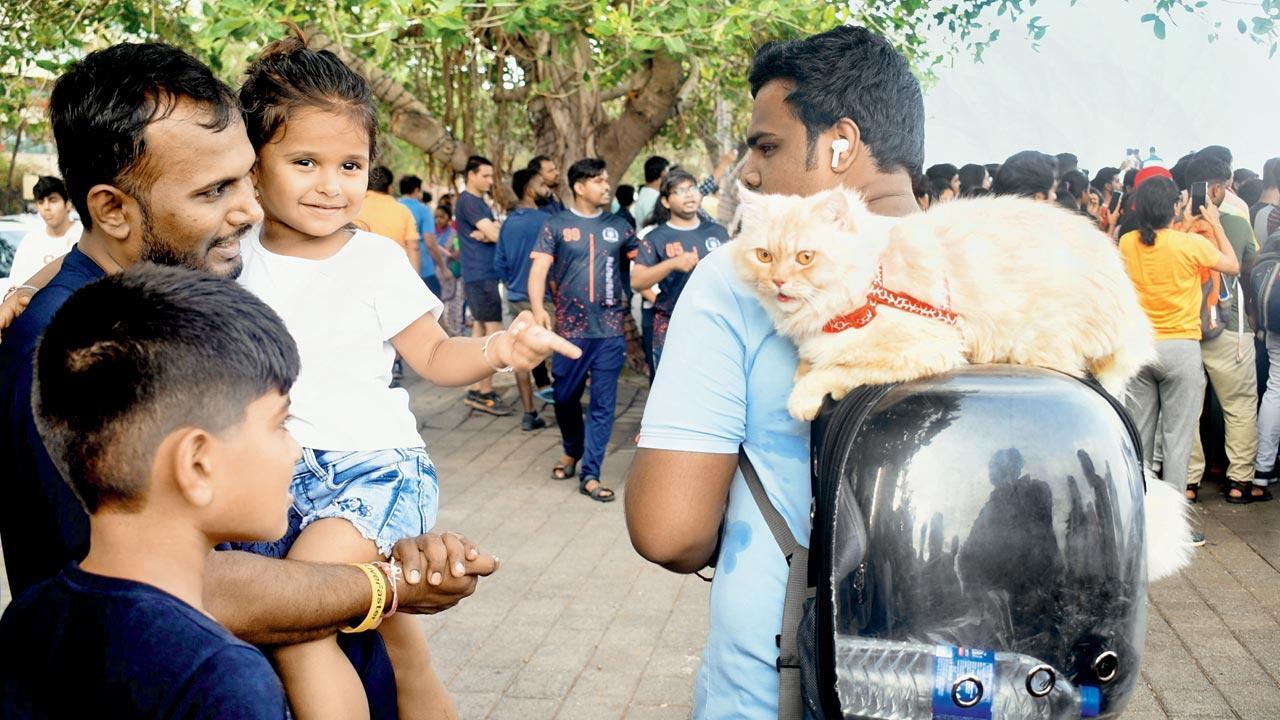 Mumbai Diary: Tuesday Dossier