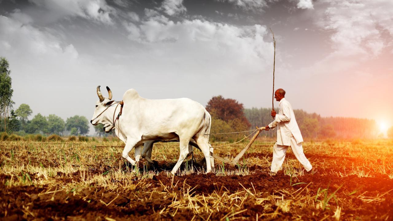 Farmers need no permission for soil mining, says Uttar Pradesh govt