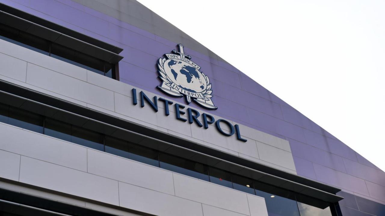 'Pak urges Interpol to assist in arresting journalists, critics living abroad'