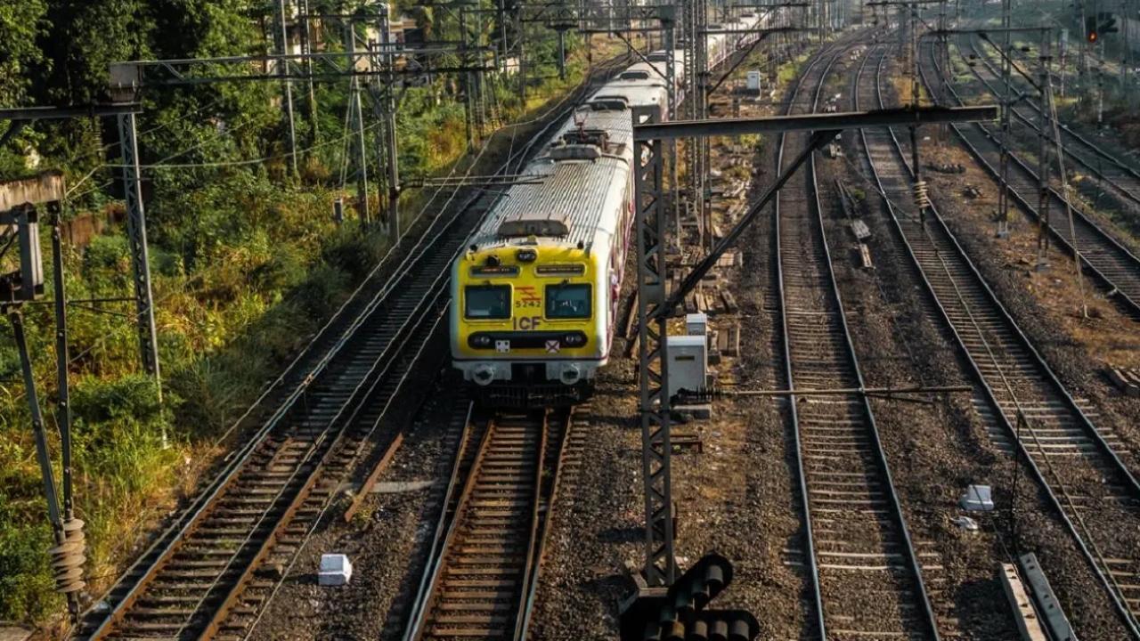 Ticket collector saves life of 73-year-old woman who fell at Wadala station