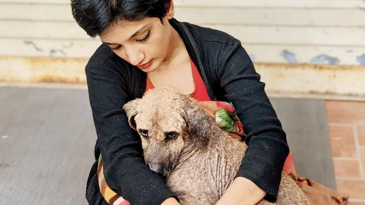 Aditi Parmeshwaran at the Empathy Unlimited Animal Welfare Foundation shelter (File Photo)