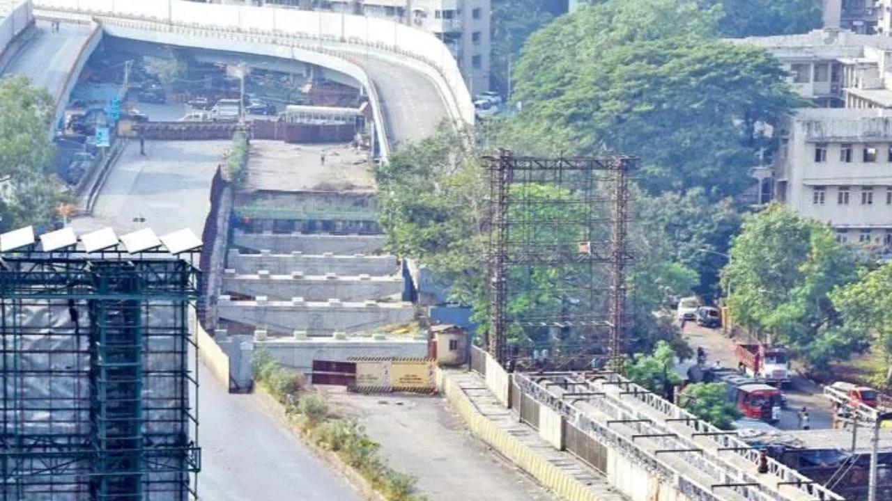 “These trees are not affecting the alignment of the bridge. For girder launching we need to create a solid platform,” said a BMC official