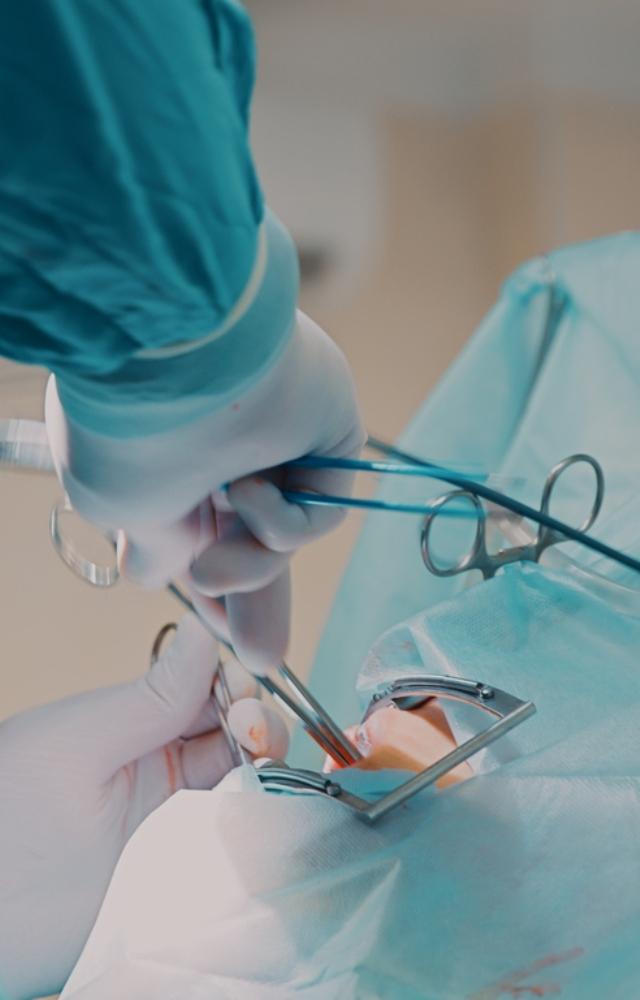 According to the data shared by the Maharashtra Public Health Department, 27,294 people died from different kinds of cancer over the past three years