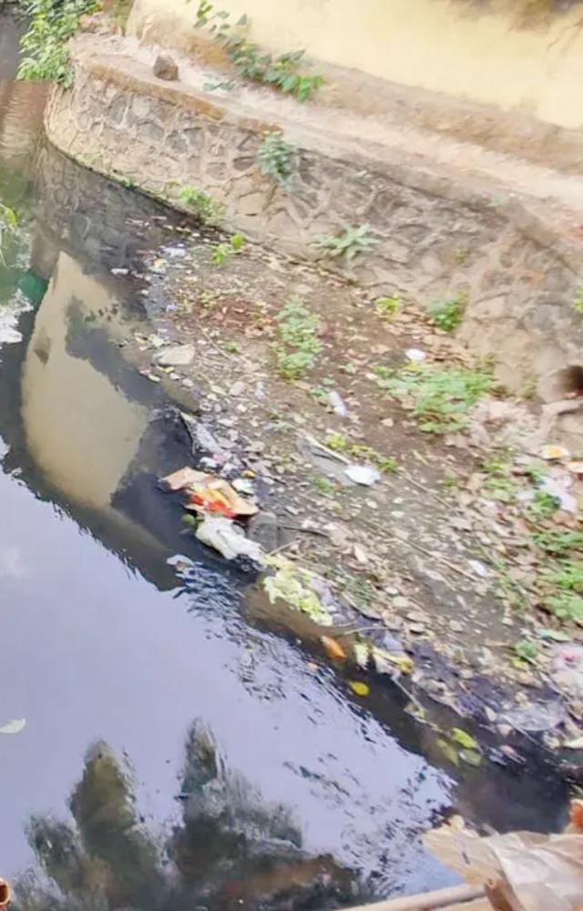 However, activists say complaints were being disposed of by the BMC which said the photos provided are of floating material