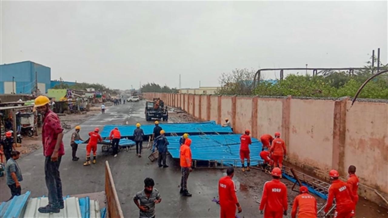 A total power blackout was witnessed in Mandvi town. Many trees were uprooted on Jakhau-Mandvi road as well as in Mandvi town due to the strong winds. 