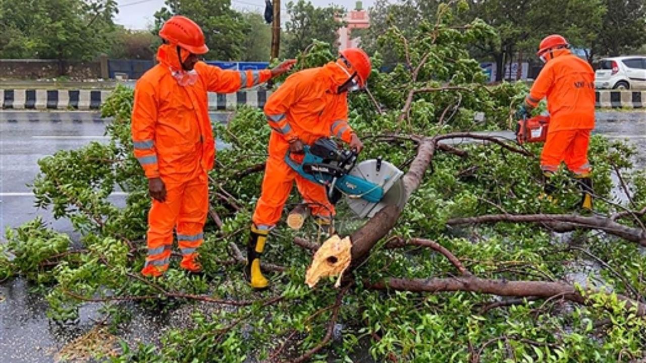 NDRF personnel conduct road clearance operation after a tin shade collapsed following the landfall of Cyclone Biparjoy
