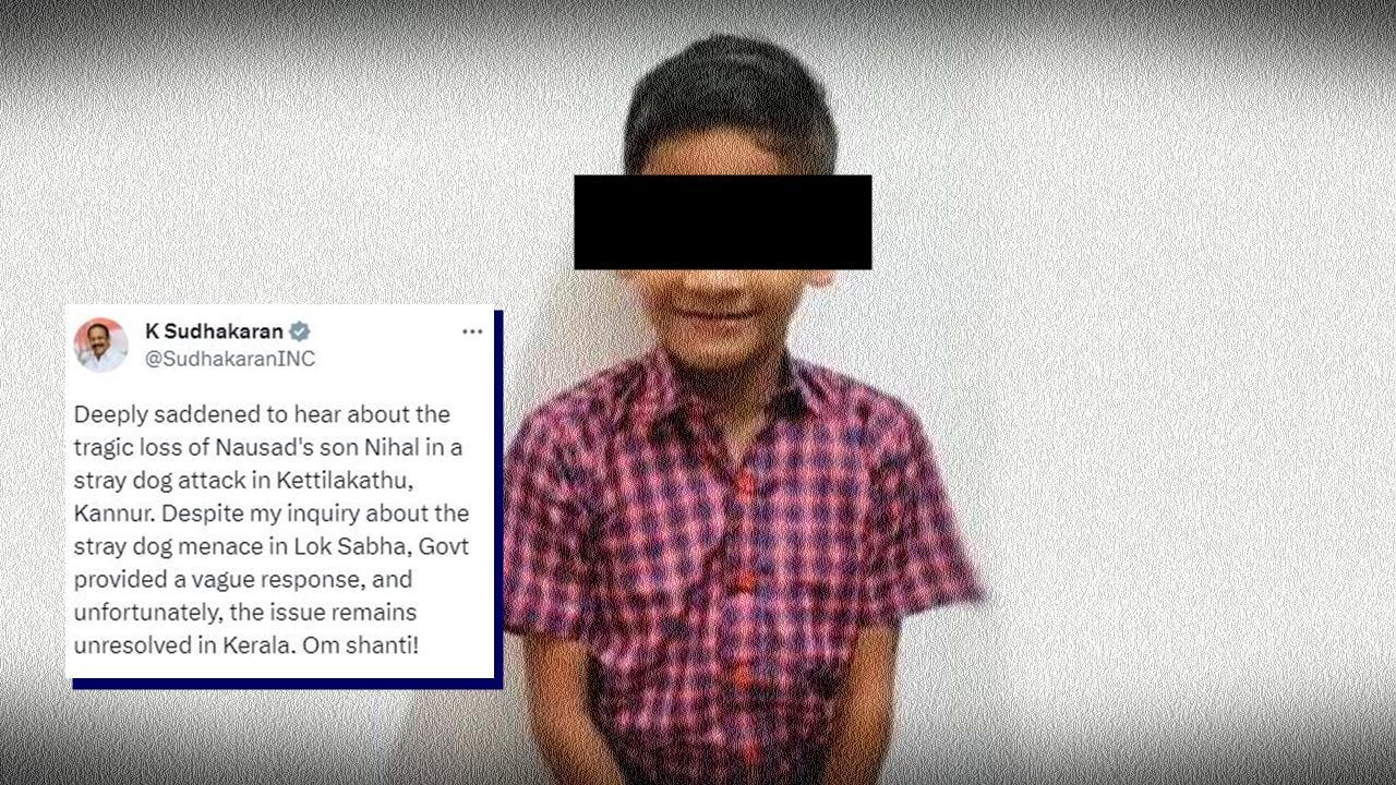 Kerala: 11-year-old boy dies in suspected stray dog attack in Kannur