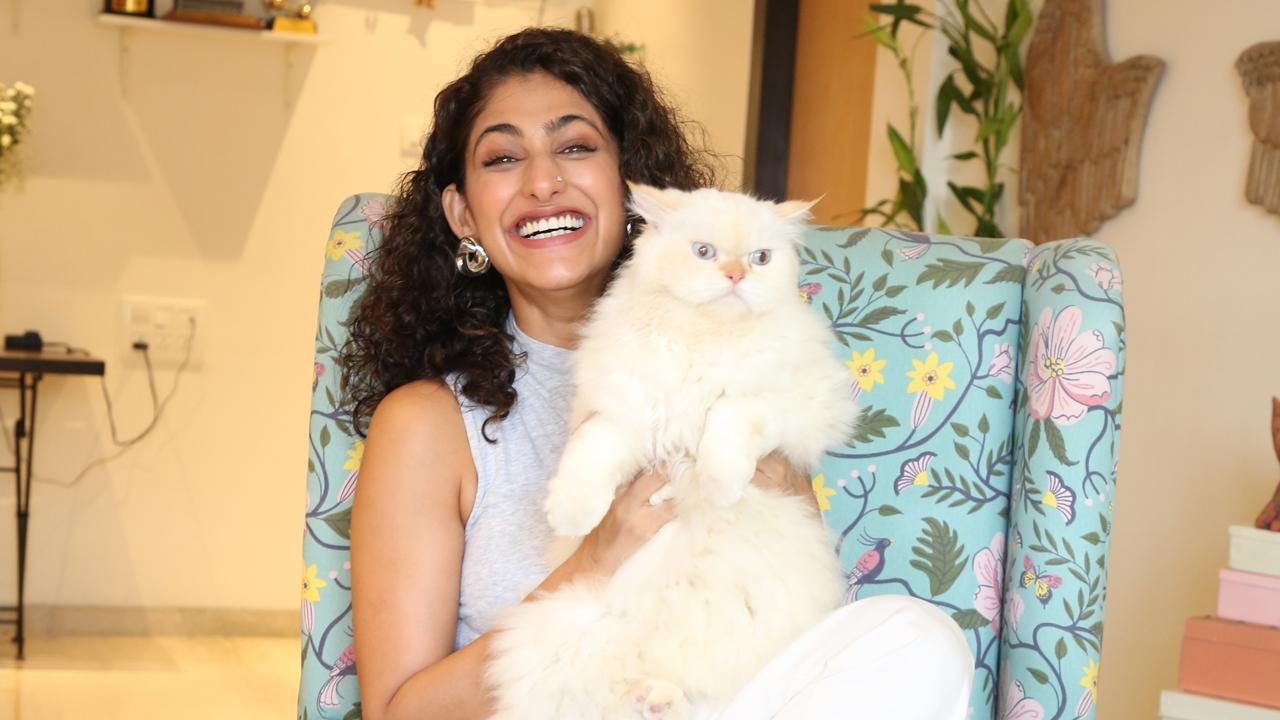 Kubbra shares memories of the time Shifu fell ill and had to undergo surgery. She was told that till she heals herself her cat would not heal and that's how she started working on herself.