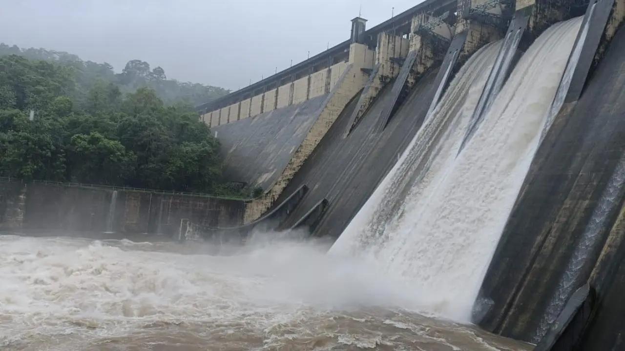 Lake levels in 7 reservoirs that supply water to Mumbai at only 11.58 per cent 