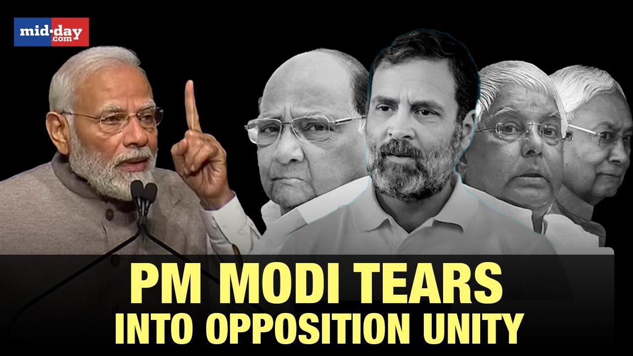 PM Modi tears into opposition unity, says they are seeking vote for 'Parivar'