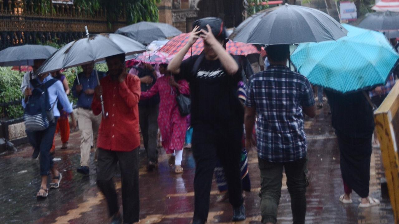 In the past 24 hours since the previous morning, there were as many as 26 incidents of tree fall, 15 incidents of short-circuit and five incidents of collapse or partial collapse of houses, according to the BMC