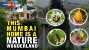 World Environment Day 2023: This Mumbai home is a calming nature retreat 