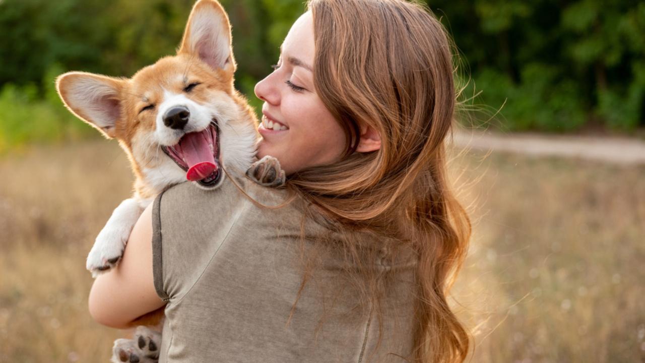 Ensuring well-being of your fur babies: A guide to common pet health concerns