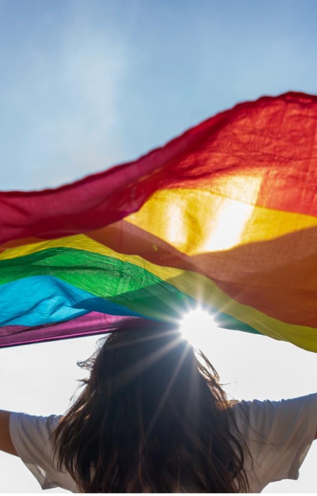 What is Pride?